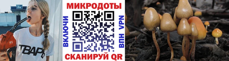 блэк спрут вход  Кунгур  маркетплейс какой сайт  закладки  Псилоцибиновые грибы Psilocybe 